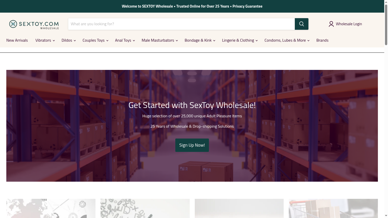 Wholesale.SexToy.com homepage preview